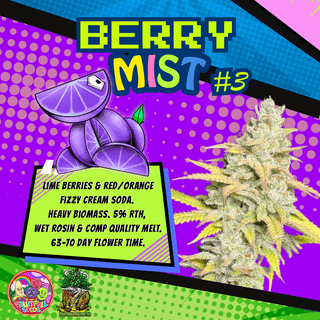 Berry Mist promo with flavor description
