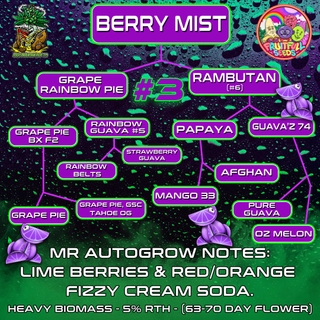 Berry Mist #3 gallery image