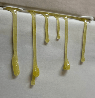 Galapagos second promo graphic