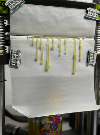 Jelly Raunchers rosin dripping from press with golden drips