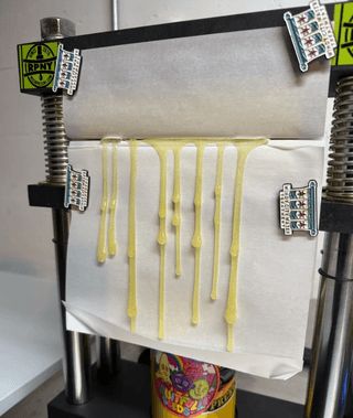 Key Lime Grapes rosin press photo