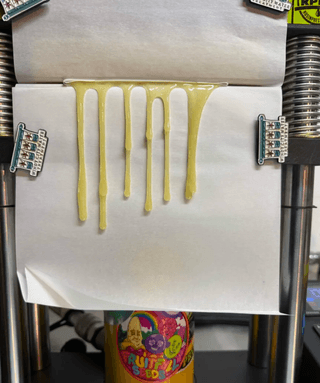 Pomegrape rosin press photo 1