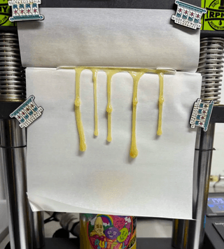 Pomegrape rosin press photo 2