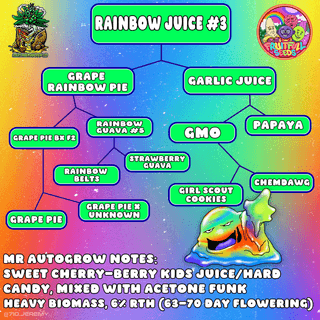 Rainbow Juice wet rosin close-up showing 6-star quality