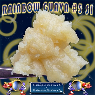 RG5 S1 promo graphic with wet rosin on glass dab tool