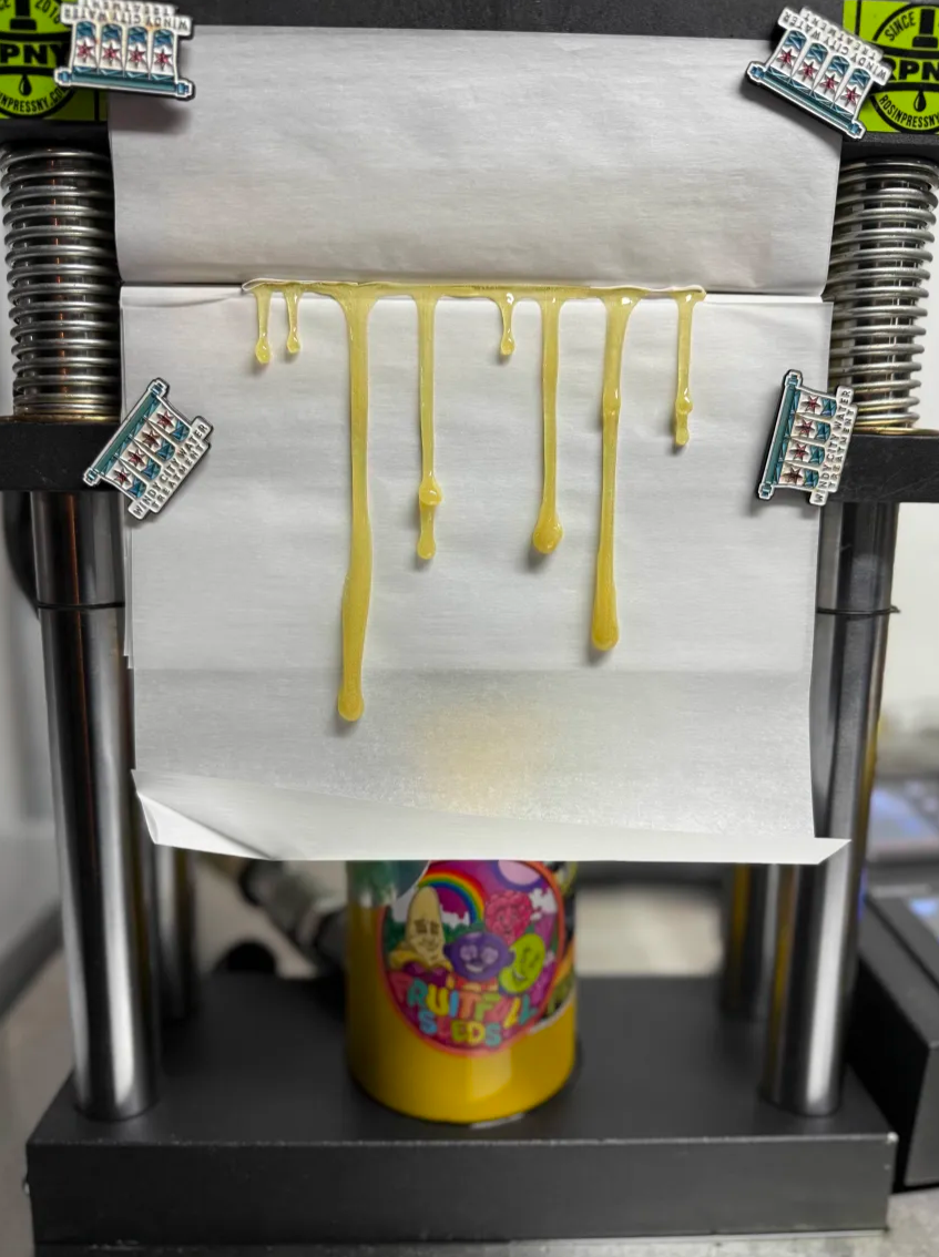 Berry Mist - Image 8