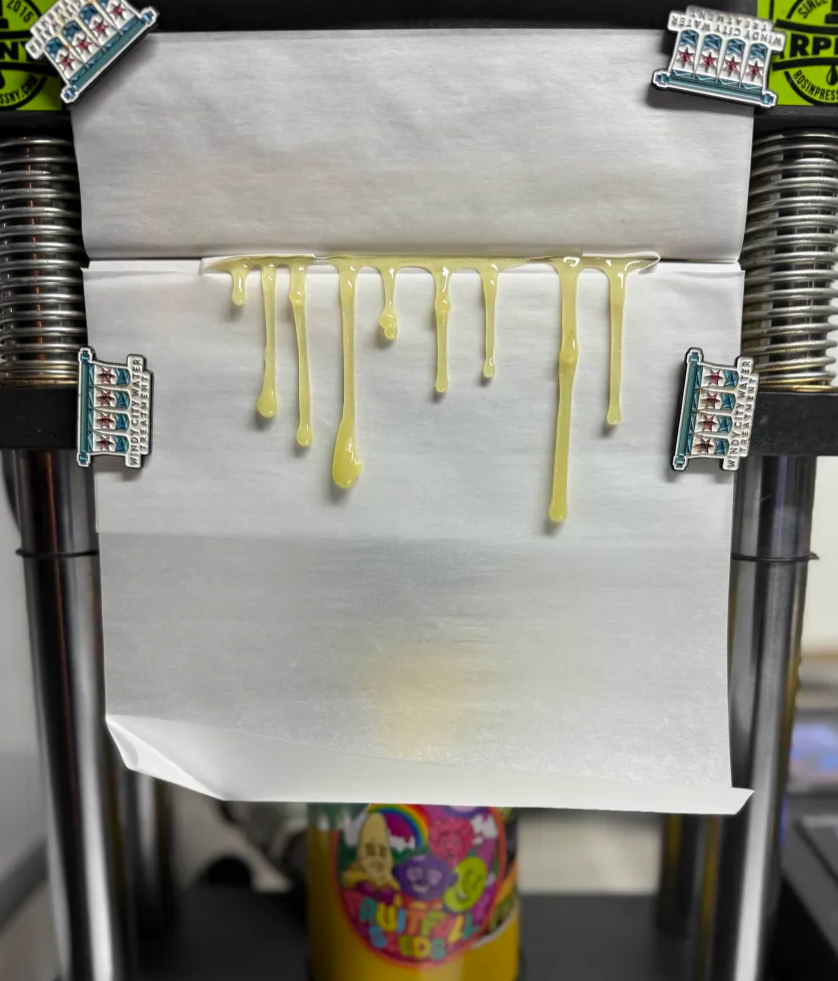 Missing Bow - Image 5