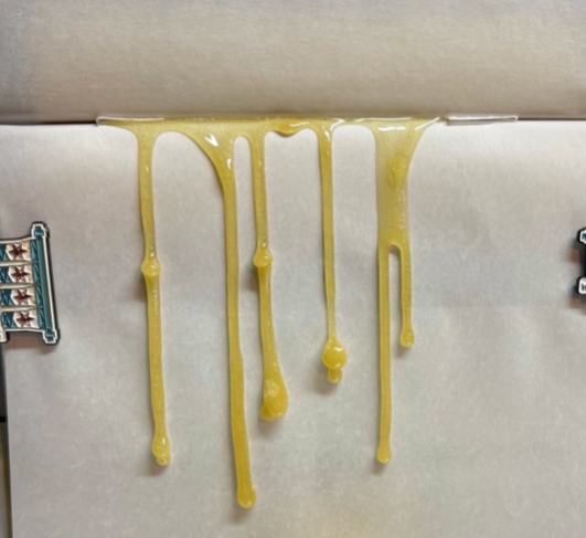 Ms. Frizzle - Image 9