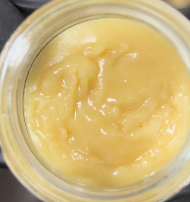 Ms. Frizzle - Image 10