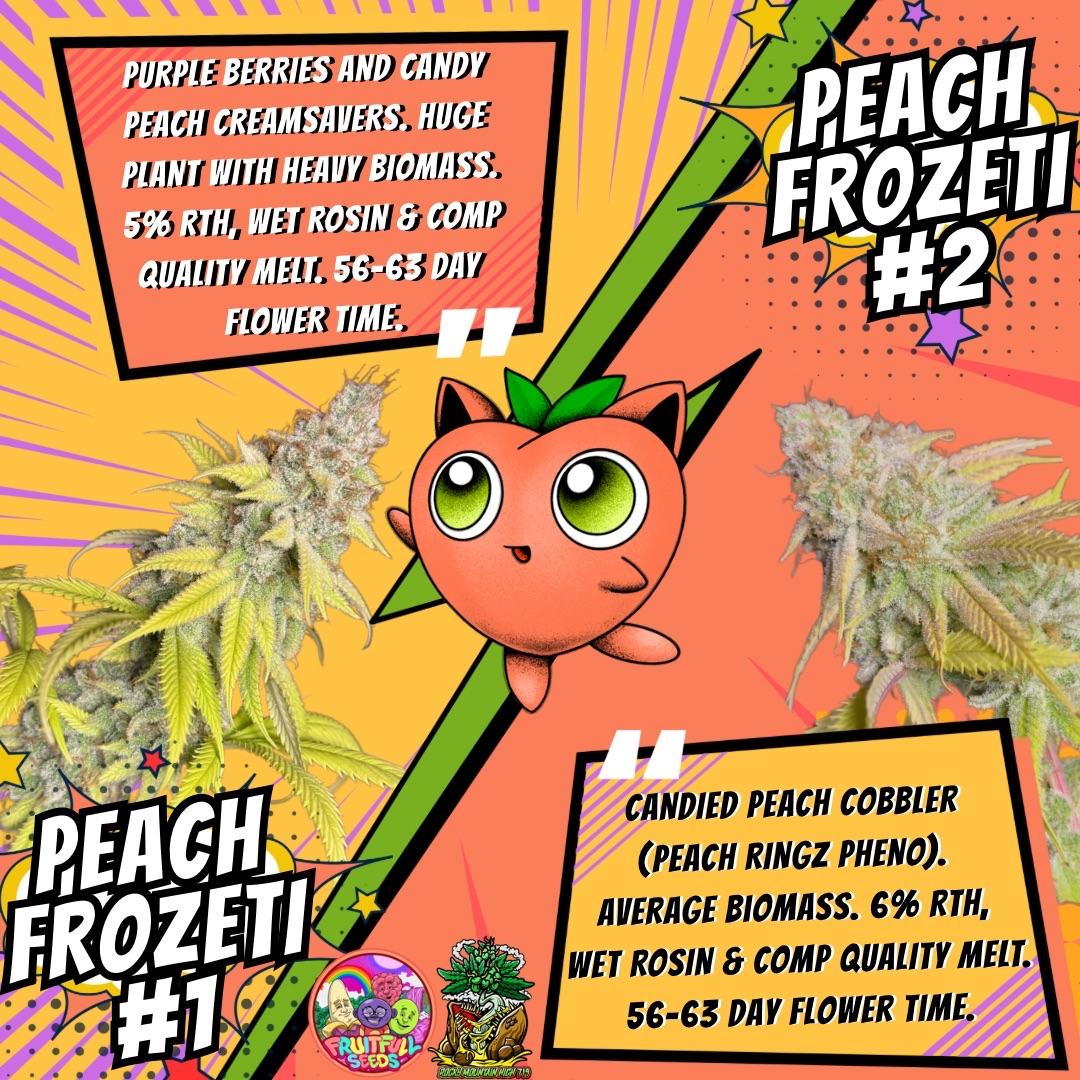 Peach Frozeti - Image 8